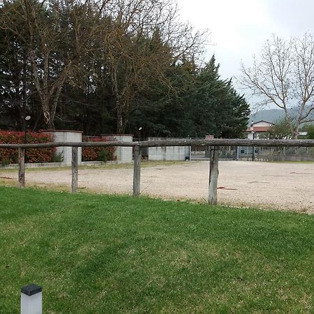 Il Boscaiolo Affittacamere Preturo Buitenkant foto